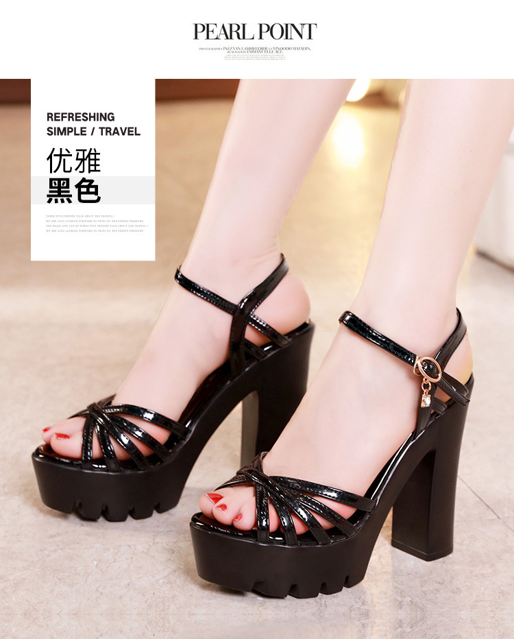 _14.jpg