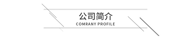 公司介绍