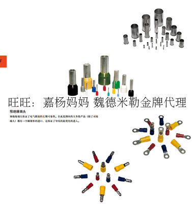 魏德米勒 H0.25/12 HBL 冷压端子 管状冷压端头 9025760000