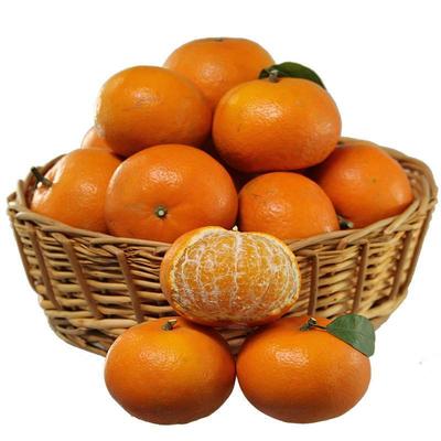 广西武鸣沃柑5斤/9斤装果园采摘新鲜直供柑橘支持微商一件代发