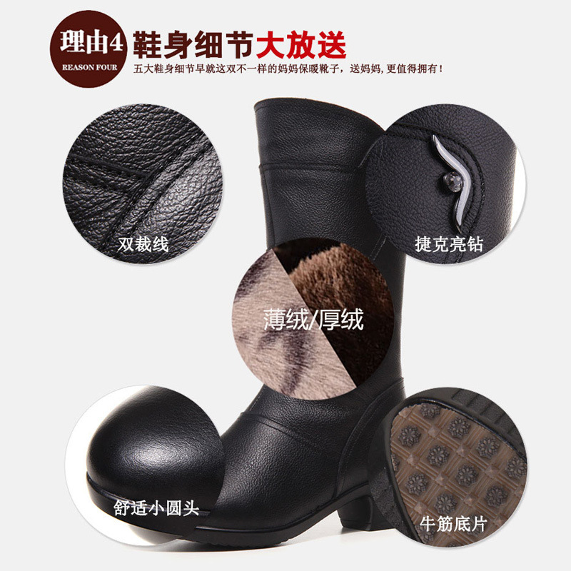 Bottes femme GIOVANNI en En cuir - Ref 3355474 Image 4