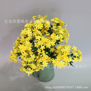 桐花圖片- 海量高清桐花圖片大全- 阿里巴巴