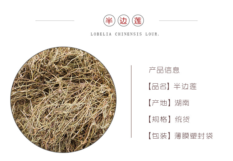 Lobelia Herb Ban Bian Lian Dried Whole Herb 500g Bulk Traditional Chinese Herbal Material key features