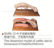 �S��ֱ��SMRL12ţ�ӌm����ģ�� ֱ���ɲ�жģ��ţ�ӌm����ģ��