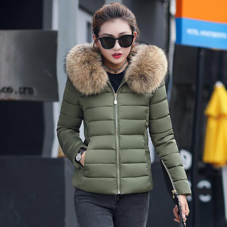 Cotton padded women's short 2021 winter clothes Korean version hooded slim down cotton padded jacket with large wool collar