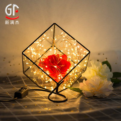 led圣诞节日装饰灯串USB铜线灯串工艺品家居浪漫灯少女房间装饰灯|ru