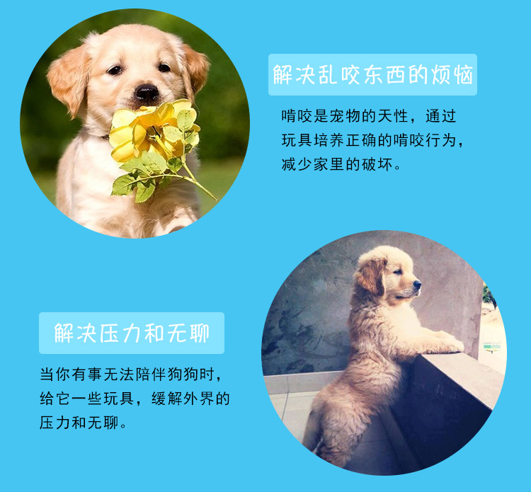 Pet supplies Pet supplies 2021 Fengpei genius dog cute puzzle pet plush toy cartoon animal plush bite resistant sound dog toy undefined