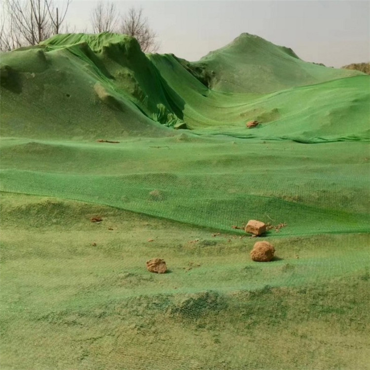 工厂现货批发1.5针2针3针绿化网 盖土网 防扬尘护坡覆盖网