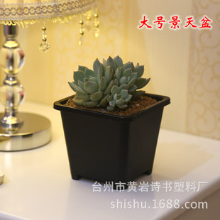 ��̖���ⷽ�γ����n�����������ϻ���С�ڷ����^�Ϙ�СȺ��ͬ����