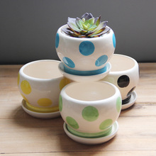 多肉植物花盆足球形陶瓷盆帶托有孔室內桌面地面陽台綠蘿花盆批發