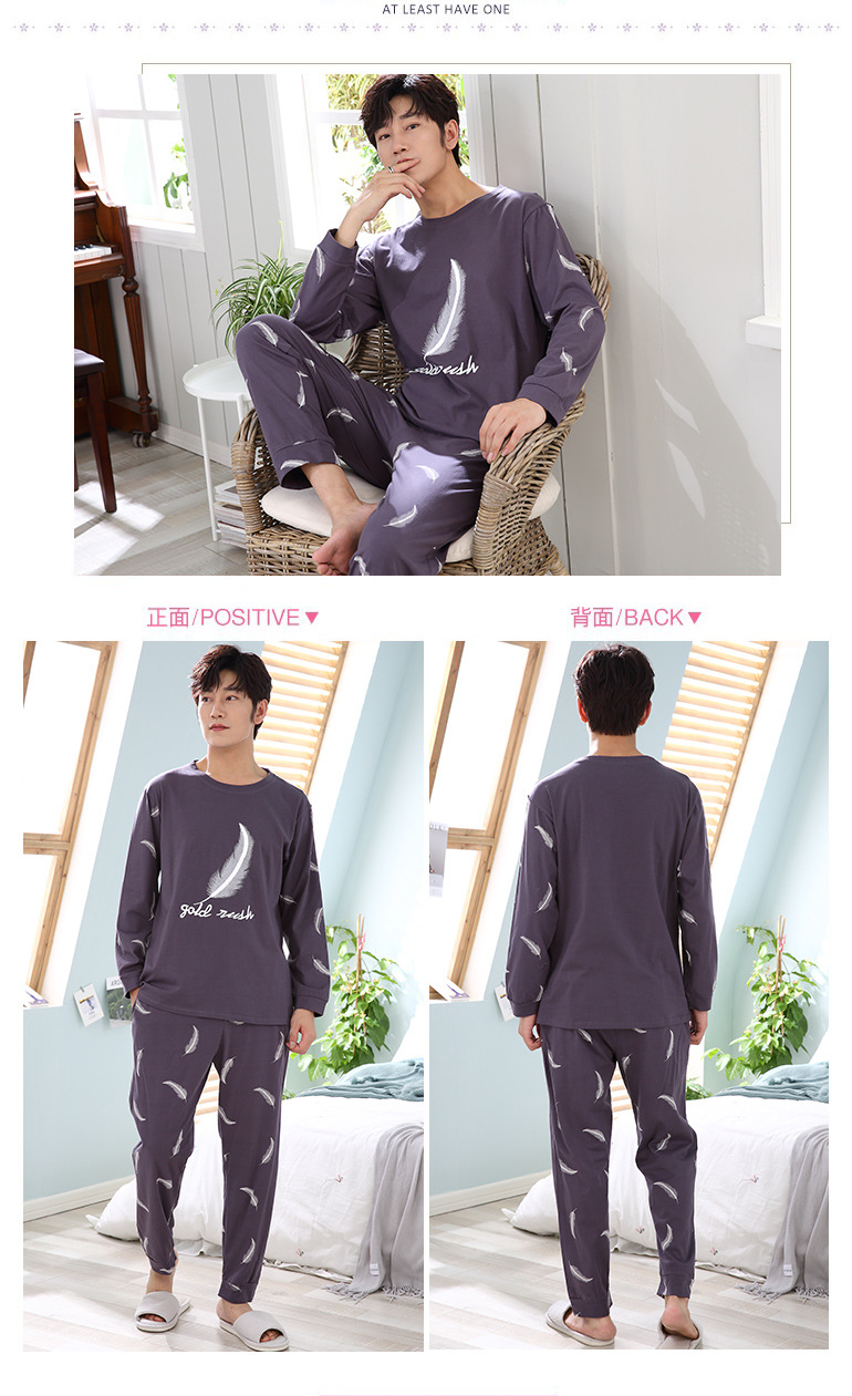 Y棕色羽毛 (2).jpg