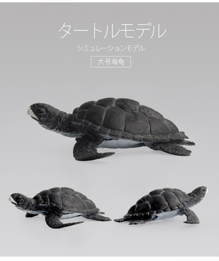 海龟模型_09
