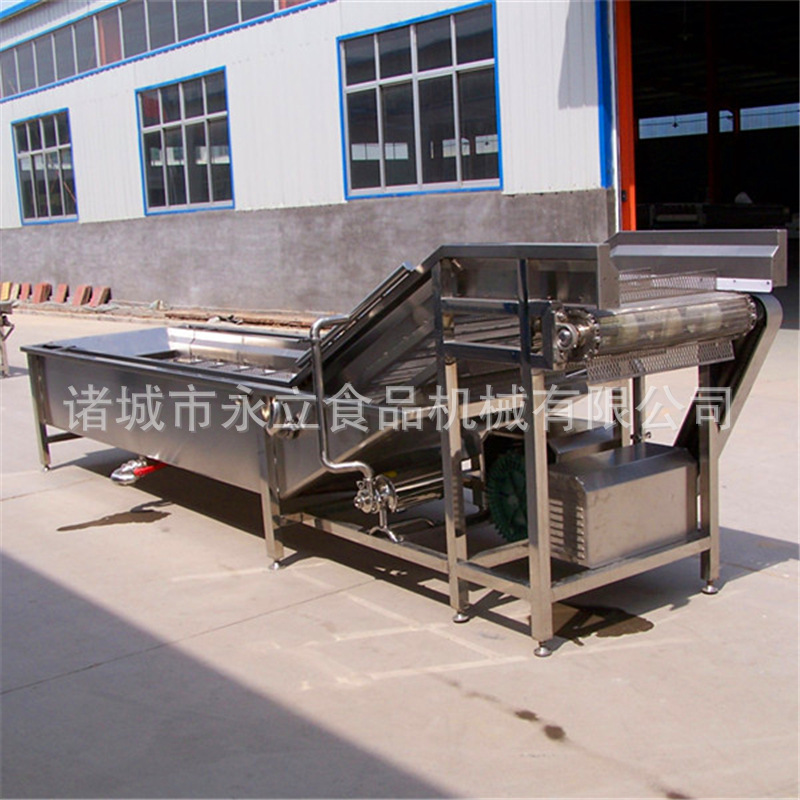 供应北方蔬菜清洗机 鼓泡清洗机 蔬菜连续清洗流水线