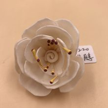 无火藤条香薰装饰 通草花装饰品 QSTCH-017 6cm 红心月季