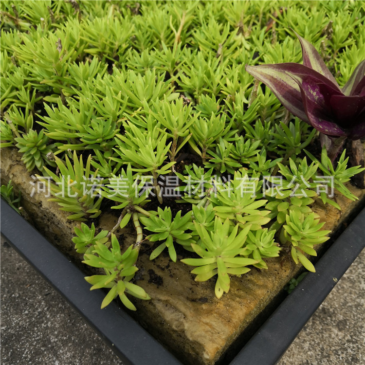 环保岩棉种植块