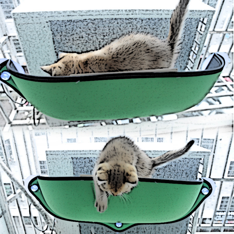 4320319079_430117532