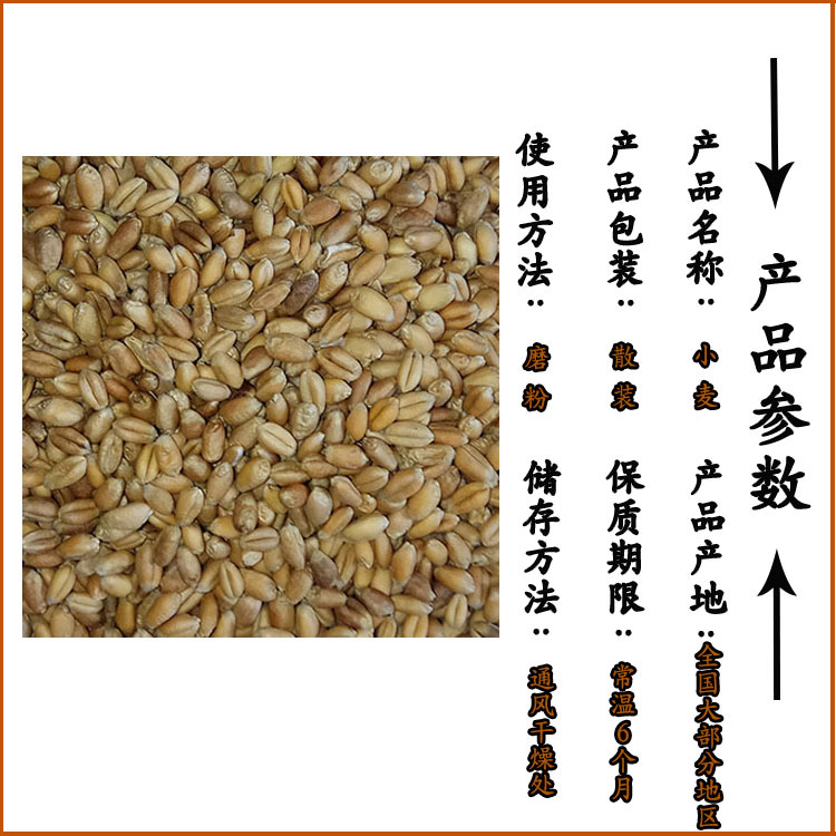 Roasted Wheat Kernels Low Temperature Baked Peeled Wheat for Fresh Soy Milk Northeast China key features