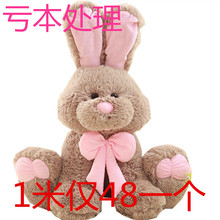 ���l�ù���ë�q��� �L��������ż�����޹������նY��һ�����l