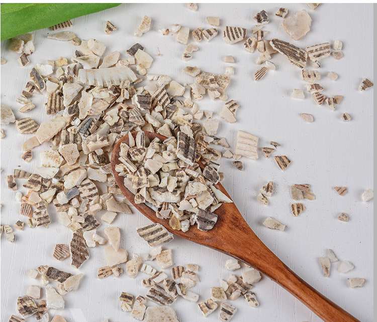 Wa Leng Zi (Concha Arcae) — Dried Clam Shell Pieces, Traditional Mineral Herb key features