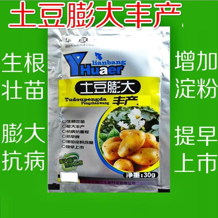 Potato Potato Sweet potato Dedicated Leavening agent Expansin Underground Tubers Expand Increase Addition starch