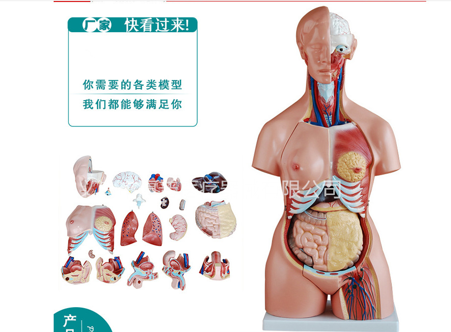 微信图片_20180726170423_副本