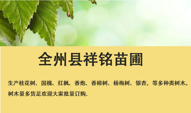 E-_田永才_全州县祥铭苗圃+黄显晖_全州县祥铭苗圃+黄显晖