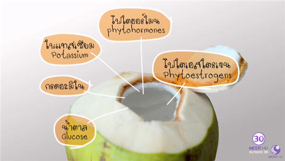 預售 進口泰國香水椰皇（壹件24個）炖湯椰皇批發直銷