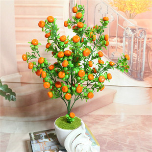 �����������ӷ���ֲ��Ҿ��b�ʯ������ֲ�� �b����