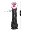 Big Judan+Black