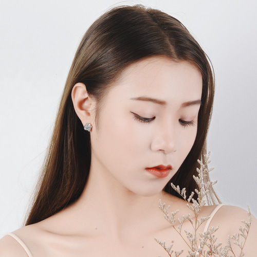 Eternal Star Earrings Women's Korean Style Fashionable Diamond Ear Jewelry Wholesale Earrings