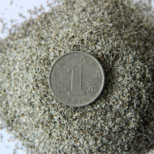 l|@ֵرɫջ ͥԺGɫղݻN