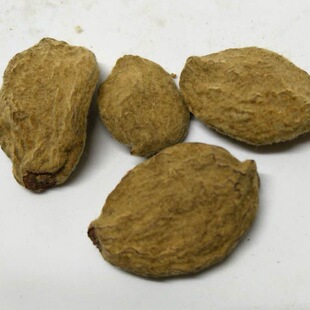 ���Ҹ� ��ū ����� �T�Ҹ�һ�����l �䱳��Ĵ�؛���l