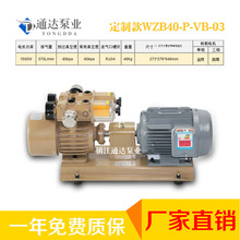 食品廠無油食品抽真空包裝機WZB40-P-V-01抽真空風泵驗品機糊盒機