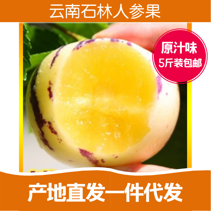 Yunnan Stone forest Ginseng Large fruit 5 pounds fresh fruit Fragrant and sweet Place of Origin Straight hair On behalf of