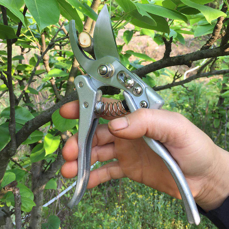 朱铁匠SK-5滑轮省力园林果树葡萄剪 Z-330本色鸟嘴型园林花艺剪刀