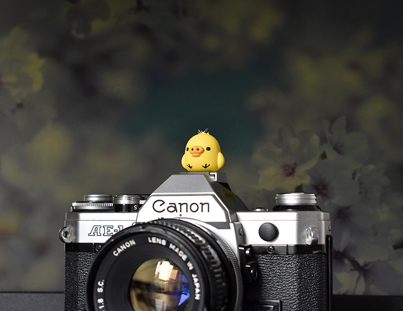 猪小鸡热靴盖 (14).JPG