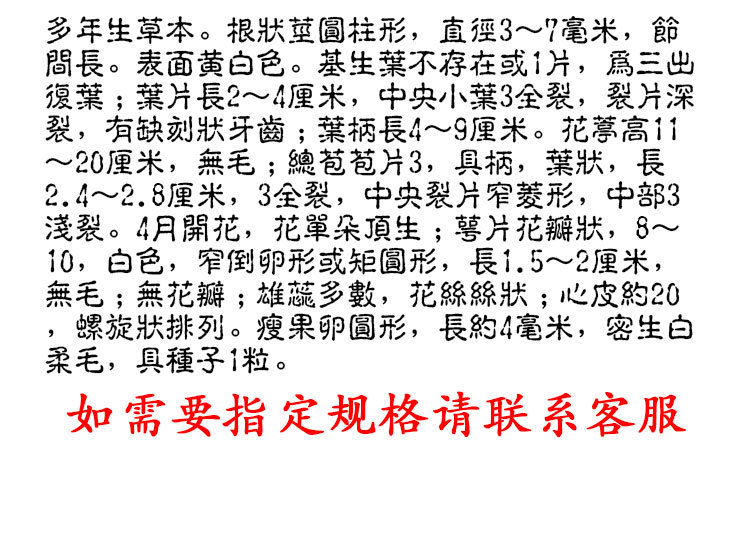 Jiu Jie Chang Pu (Anemone altaica) — Dried Unsulfured Rhizome, 500g Bulk quality and texture