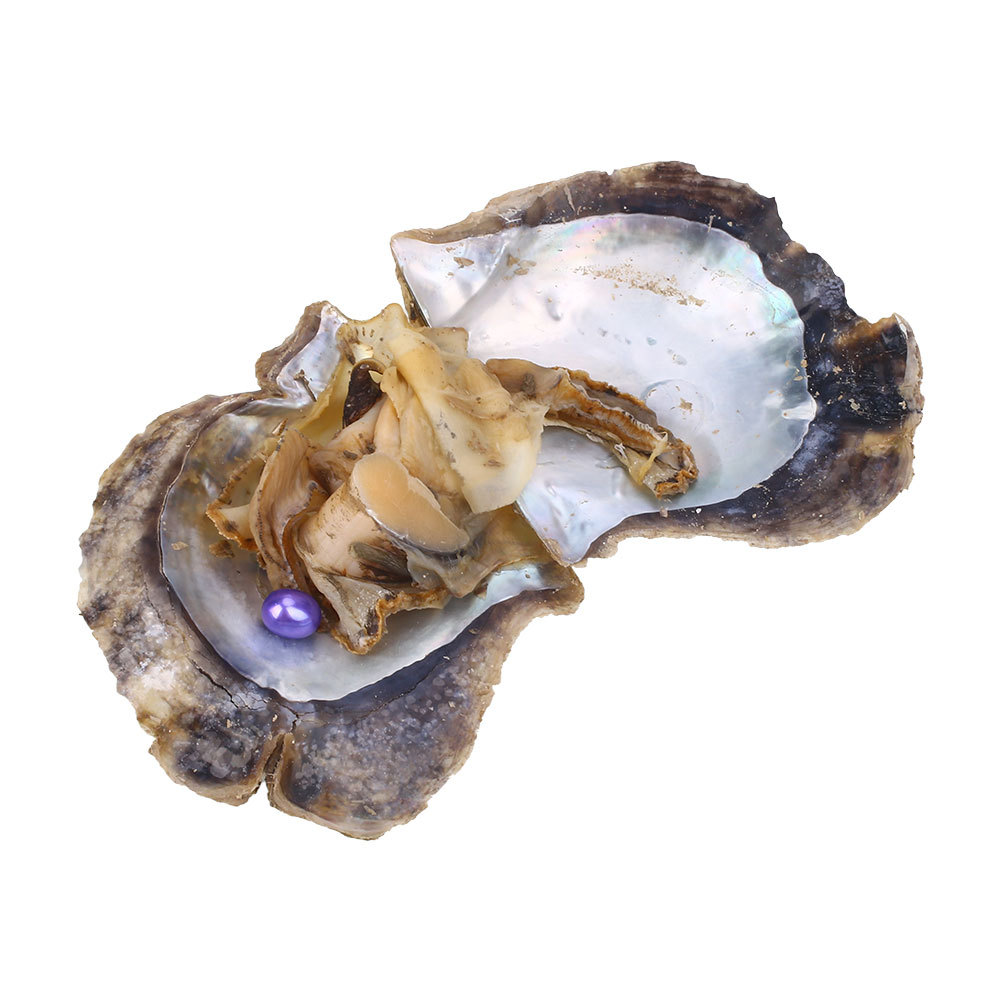 （中性）情人节日本河蚌珍珠礼物 颜色->35|ms