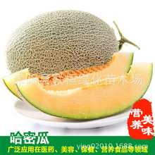 ½ƤܹϷN sܹϷN ߮aɴeNֲ