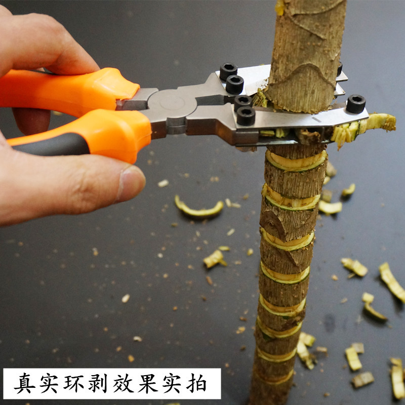 佐中田枣树葡萄树环剥器环枝剪果树环割刀剥树皮园艺剪刀环剥工具-阿里巴巴