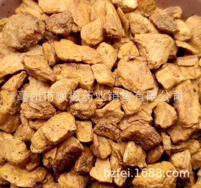 菊苣根 兰菊根金玉兰根 咖啡萝卜炒菊苣根走大货 OEM贴牌代加工