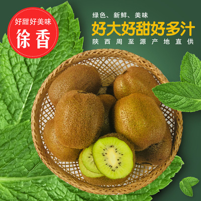 徐香猕猴桃 陕西周至美味绿肉奇异果 新鲜水果 时令鲜果 大果