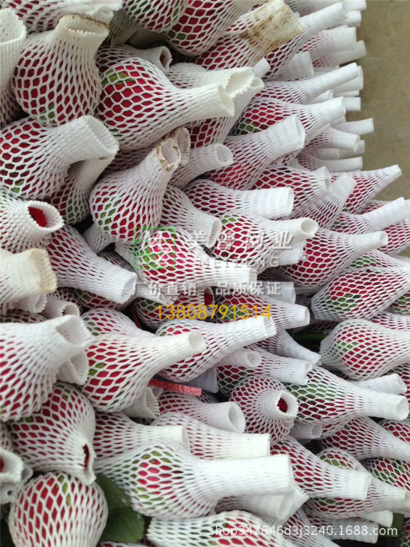 玫瑰花运输保护泡沫网套 珍珠棉保护套月季菊花网套防撞保护花套|ms