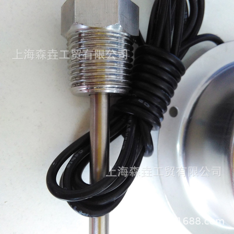 1.2�߳�����̫���������¶ȼƴ�1/2"NPT���� DST2002S1