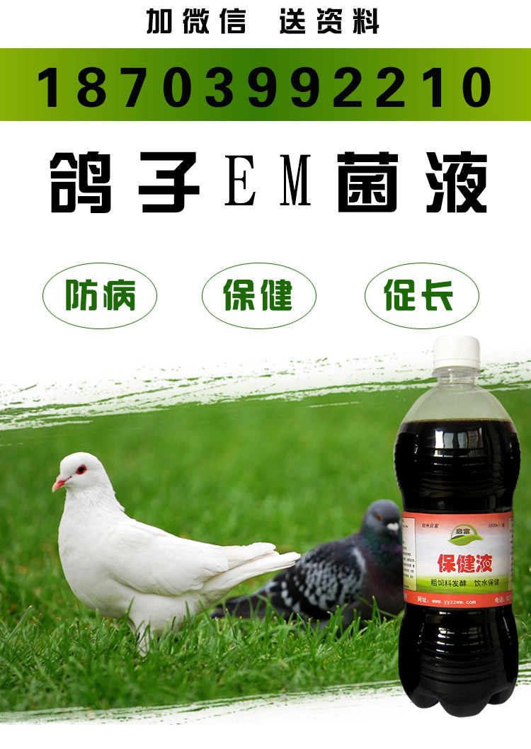 鴿子專用em菌