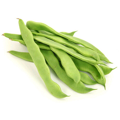 批发寿光蔬菜种子 圣龙王芸豆种子 大面积种植 200克装|ms
