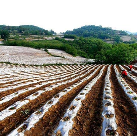 农用薄膜;包装薄膜;橡塑代理加盟
