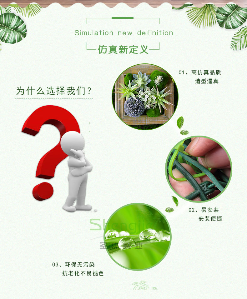 植物墙-多肉详情页_02.jpg