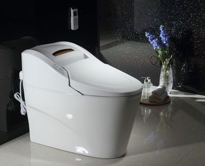 智能马桶 一体智能座便器 正面按鍵智能座便不绣钢喷杆8801|ms