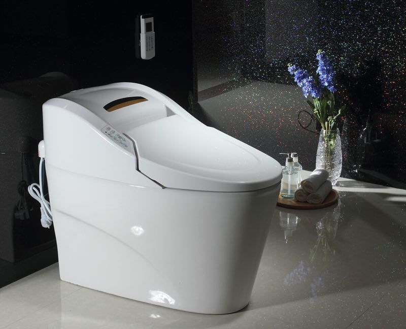 智能马桶 一体智能座便器 正面按鍵智能座便不绣钢喷杆8801|ms